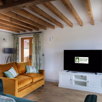 Smart TV with Netflix included