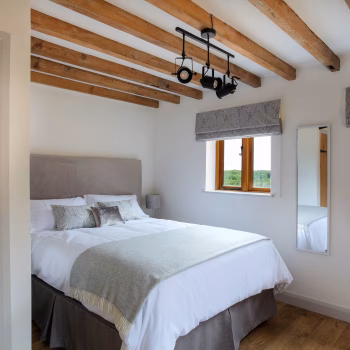 Downstairs King Bedroom