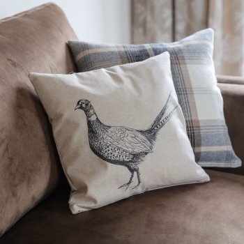 Luxurious furnishings